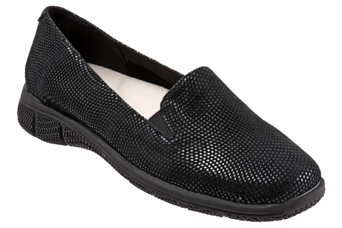 Universal-Trotters Online