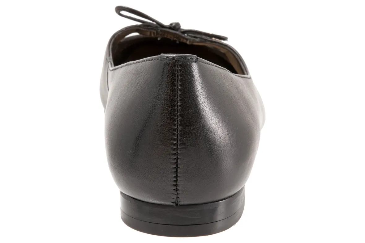 Honesty-Trotters New