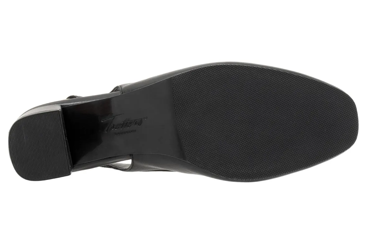 Dalani-Trotters Clearance