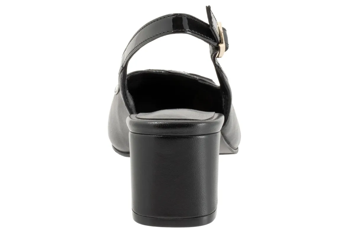 Dalani-Trotters Clearance