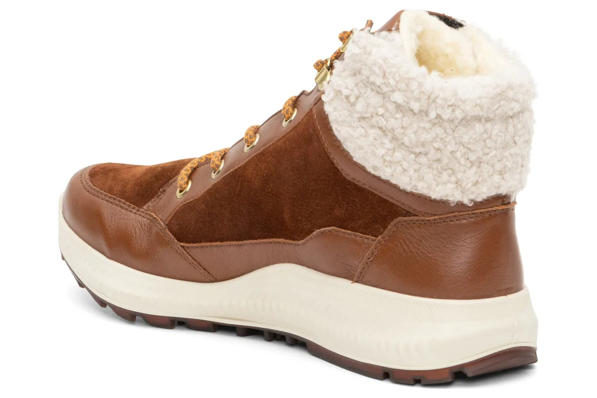 Hanover-ara Discount