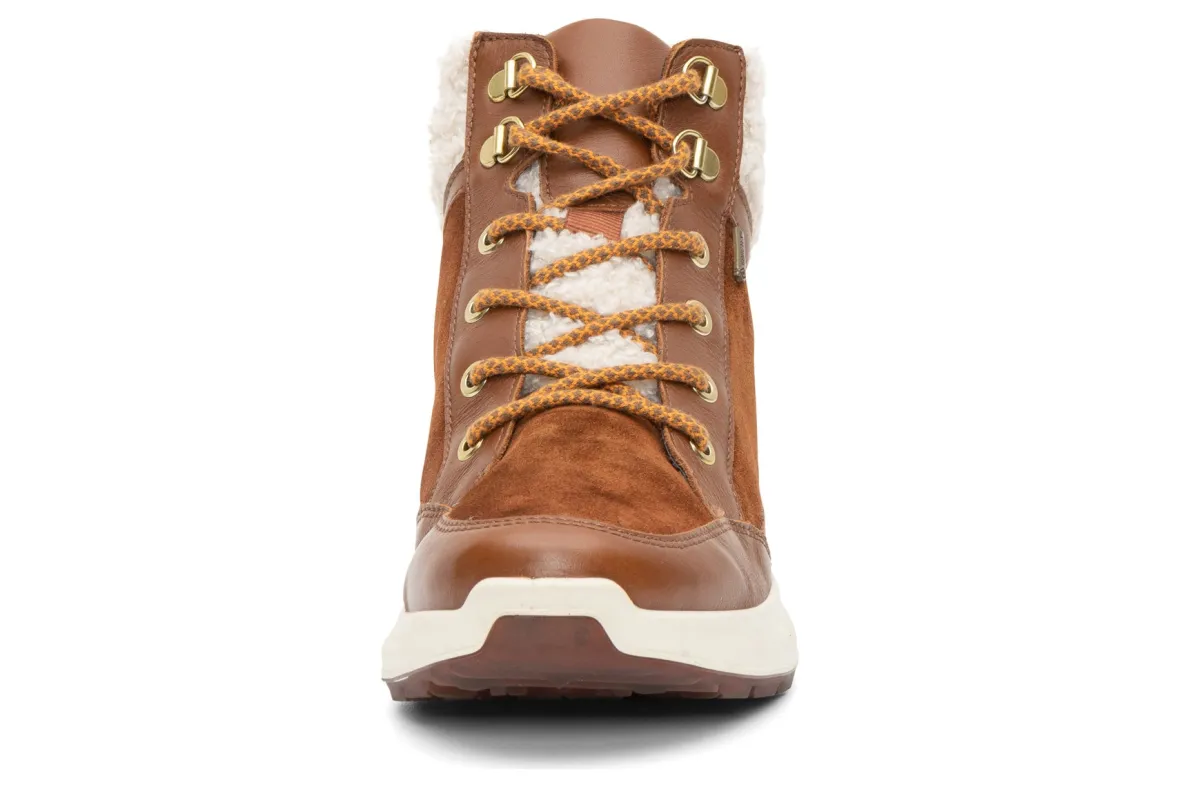 Hanover-ara Discount