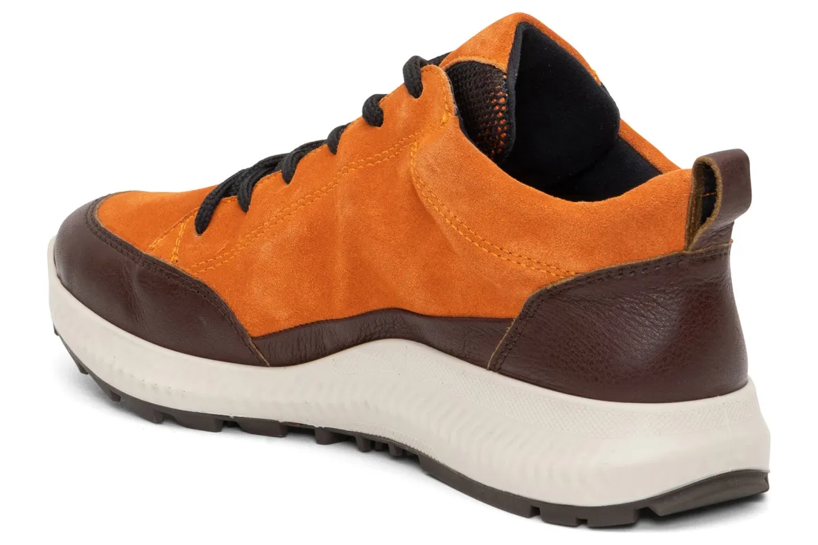 Highland-ara Discount