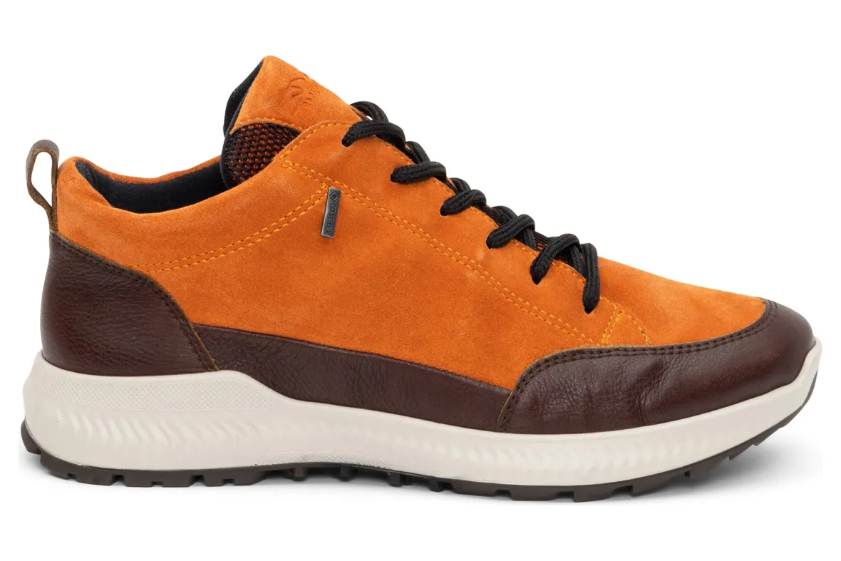 Highland-ara Discount