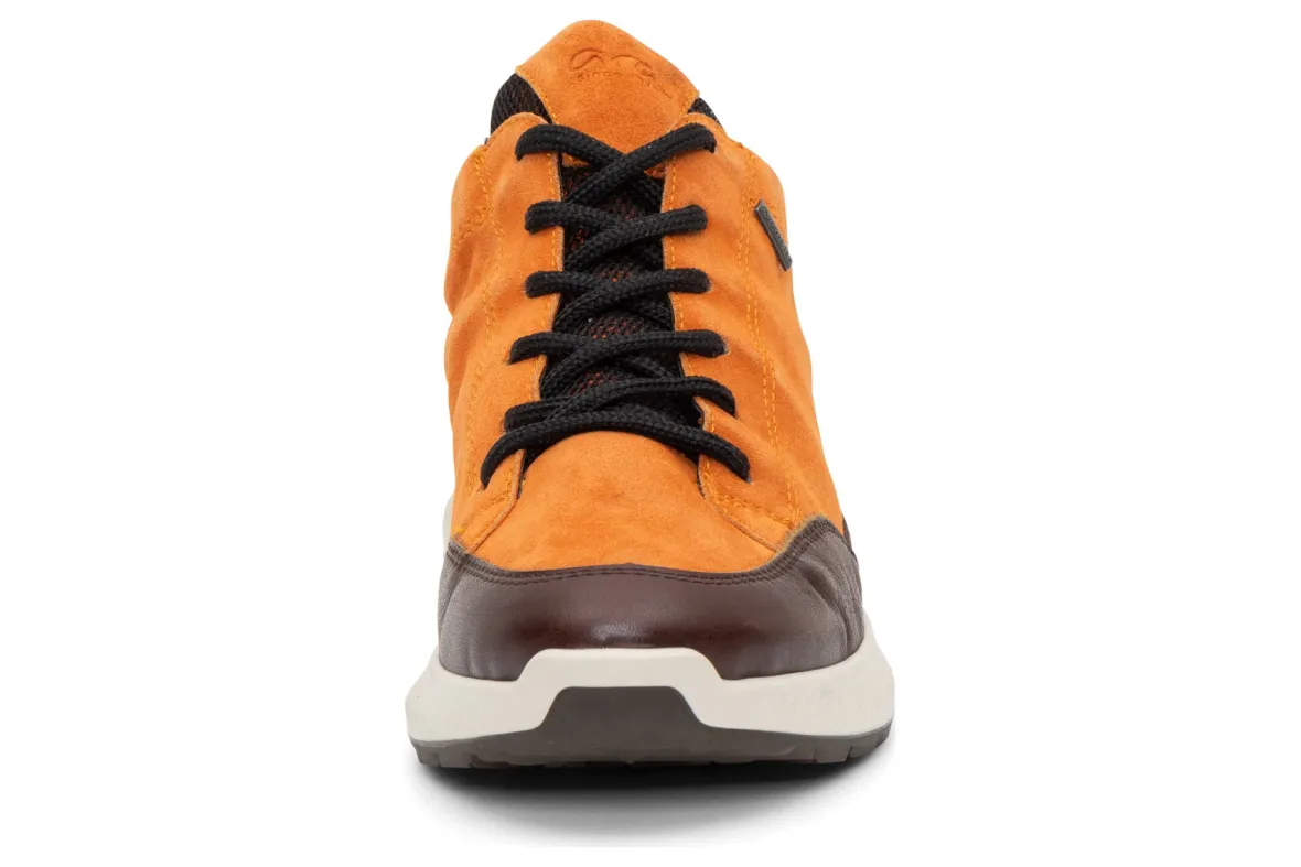 Highland-ara Discount