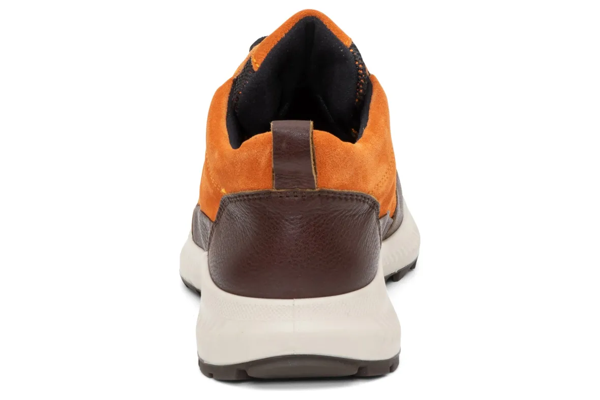 Highland-ara Discount