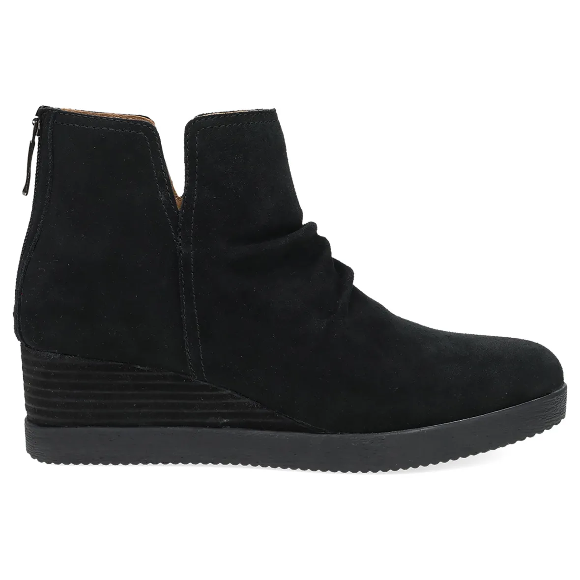 Stephanie-Dansko New