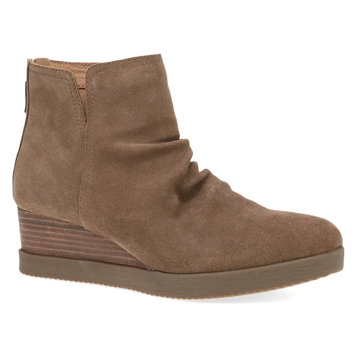 Stephanie-Dansko New