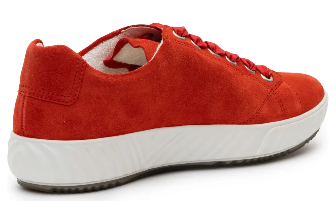 Alexandria-ara Clearance