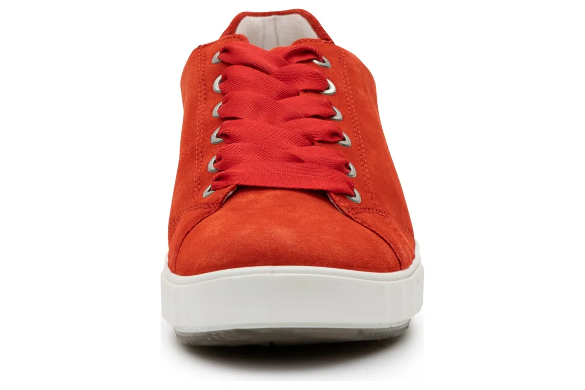 Alexandria-ara Clearance