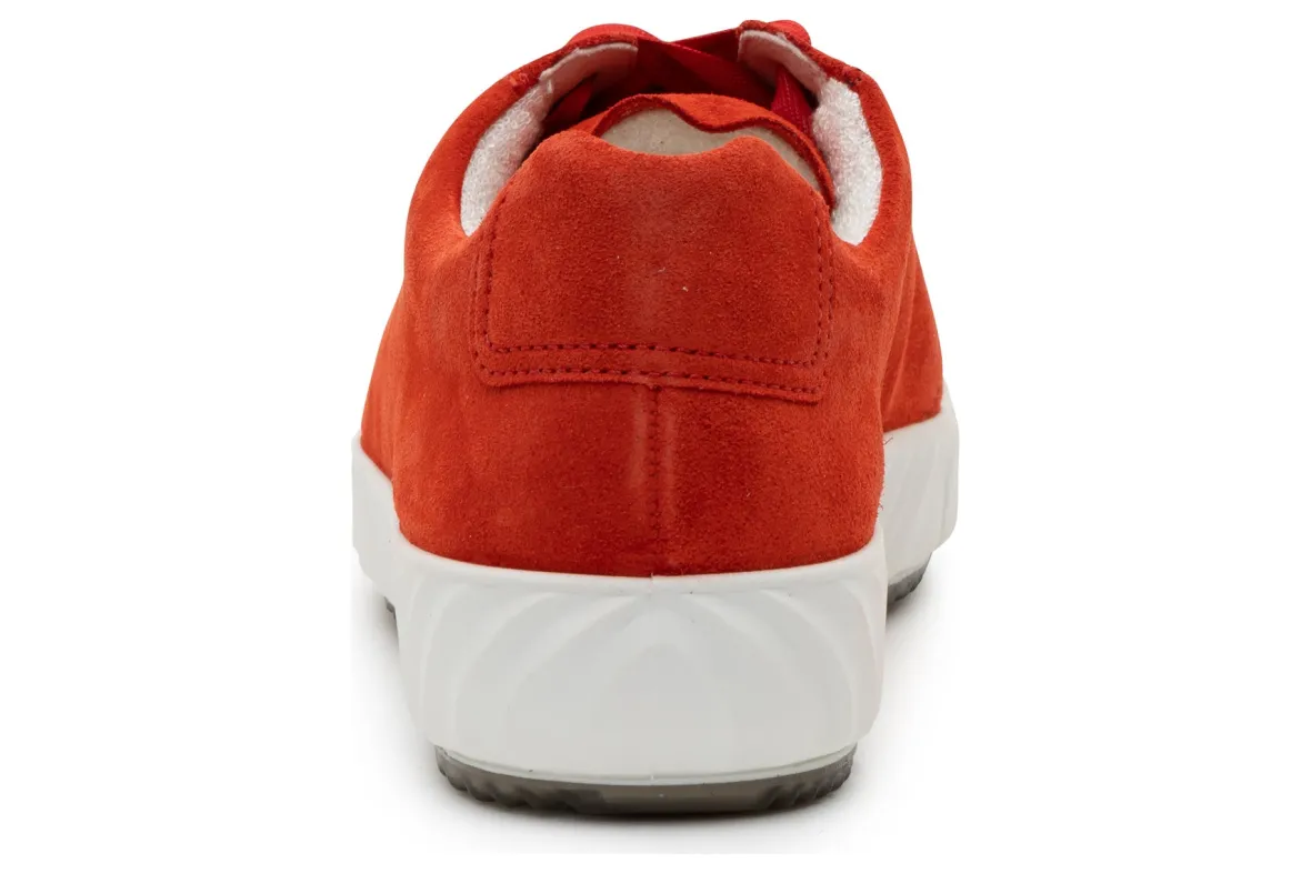 Alexandria-ara Clearance