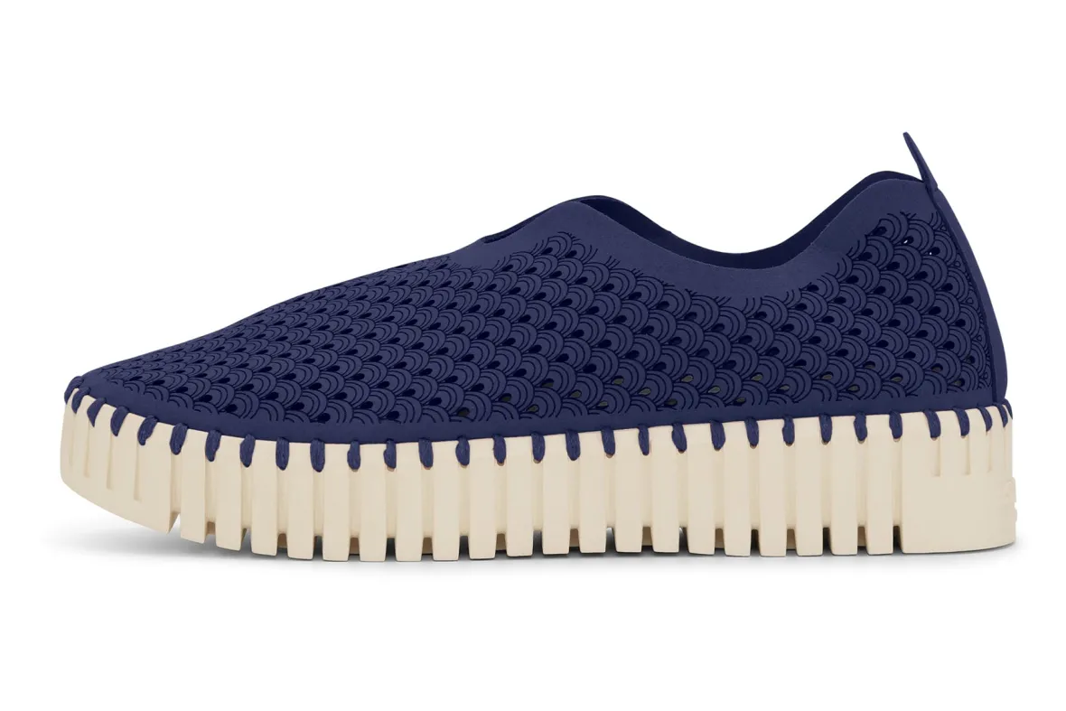 Tulip3373-Ilse Jacobsen Clearance