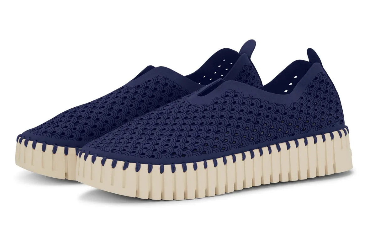 Tulip3373-Ilse Jacobsen Clearance