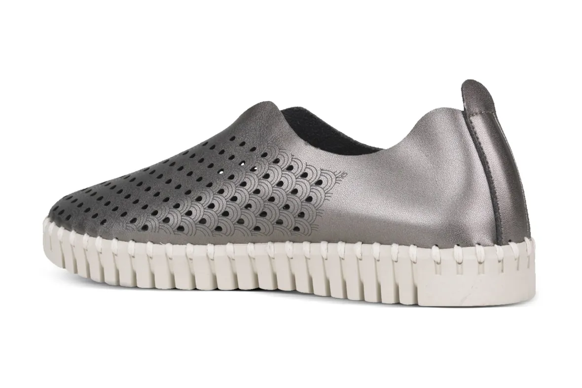 Tulip 3576-Ilse Jacobsen Hot