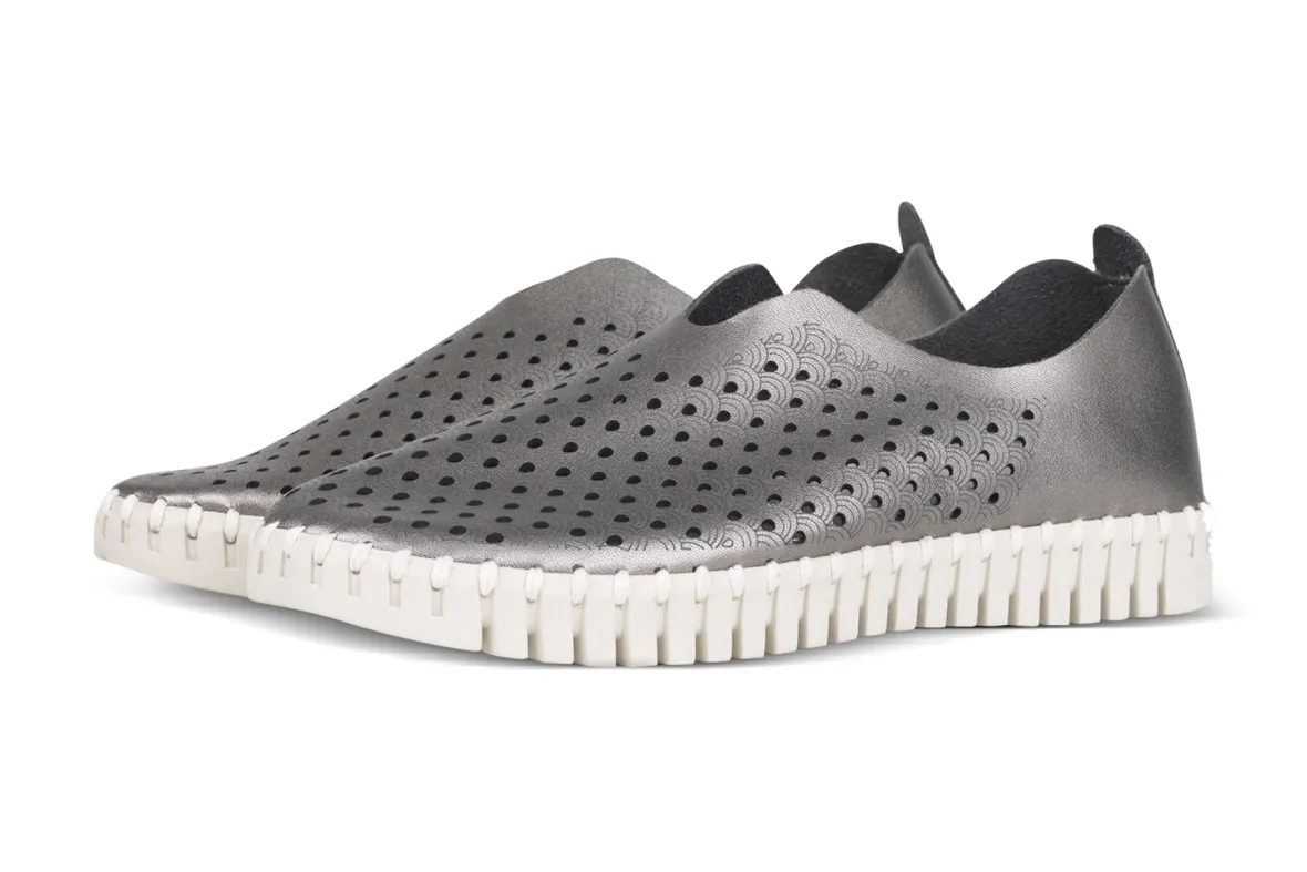 Tulip 3576-Ilse Jacobsen Hot