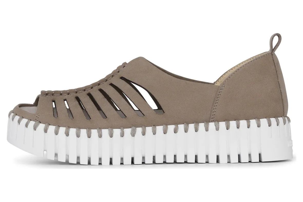 Tulip 9376-Ilse Jacobsen New