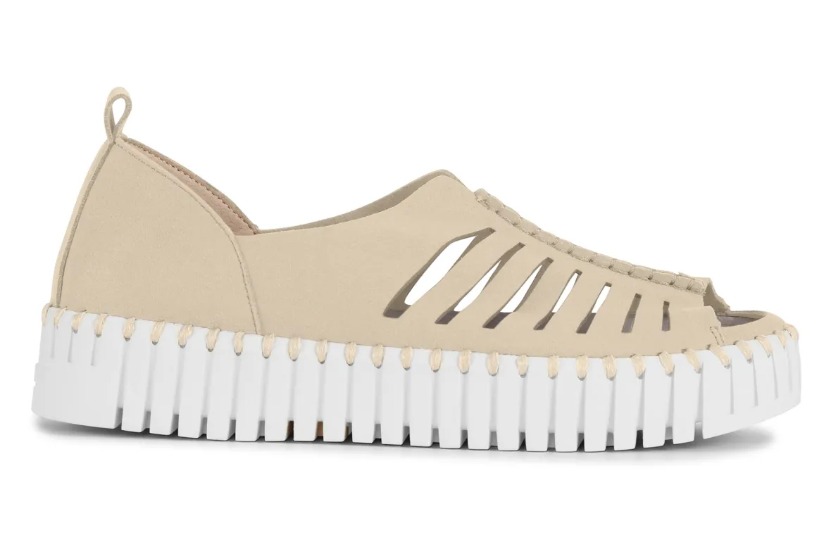 Tulip 9376-Ilse Jacobsen Best