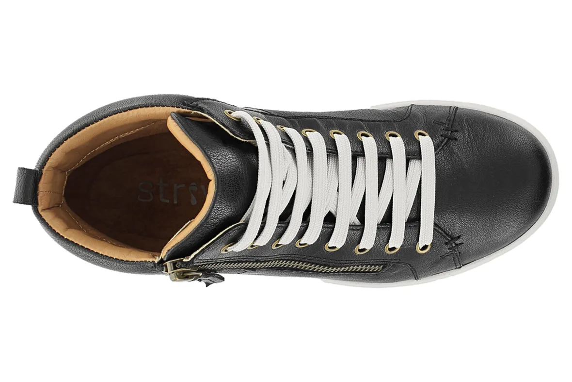 Kensington-Strive New