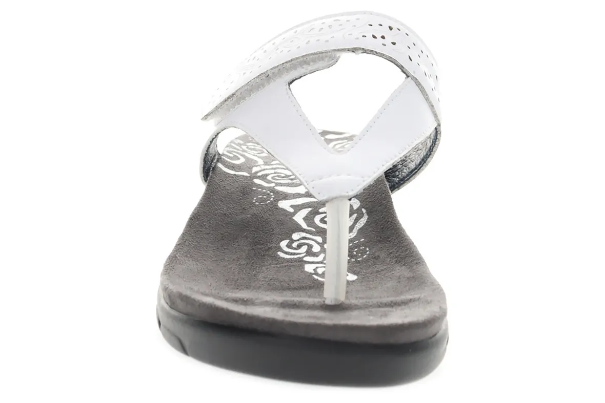 Wynzie-Propet Online