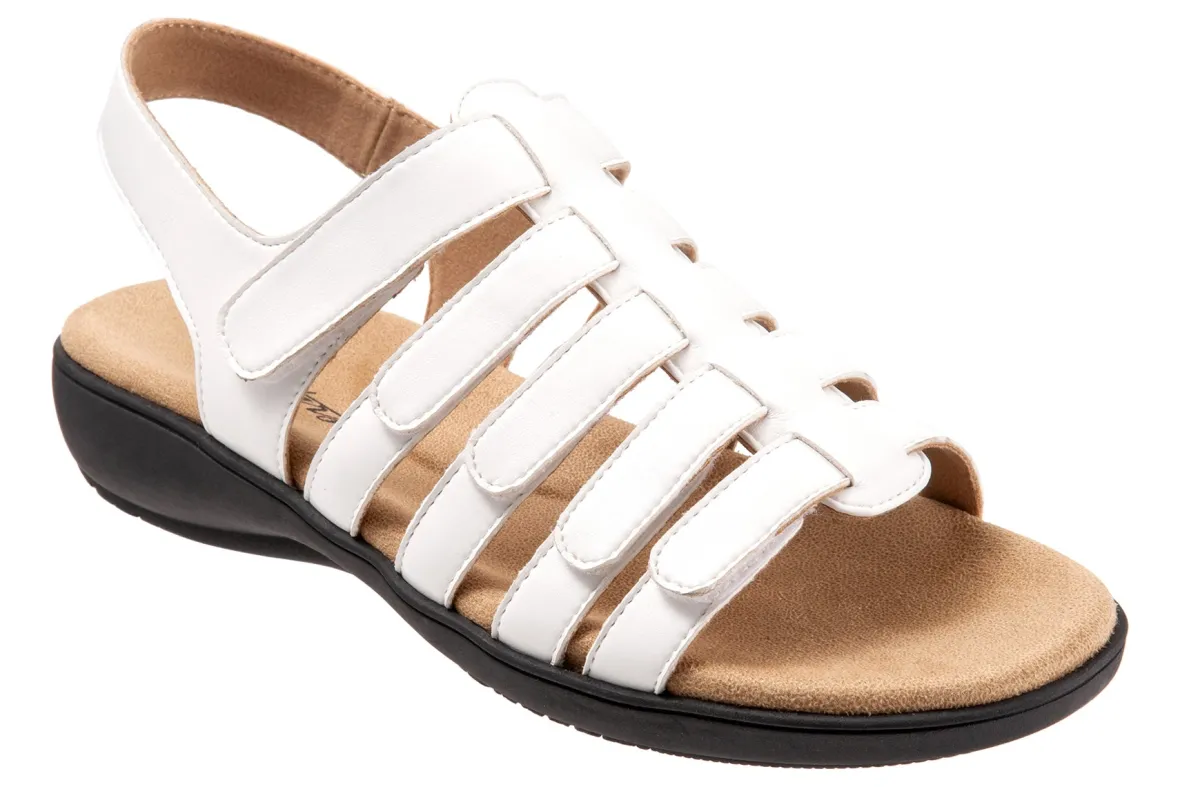 Tiki-Trotters Clearance