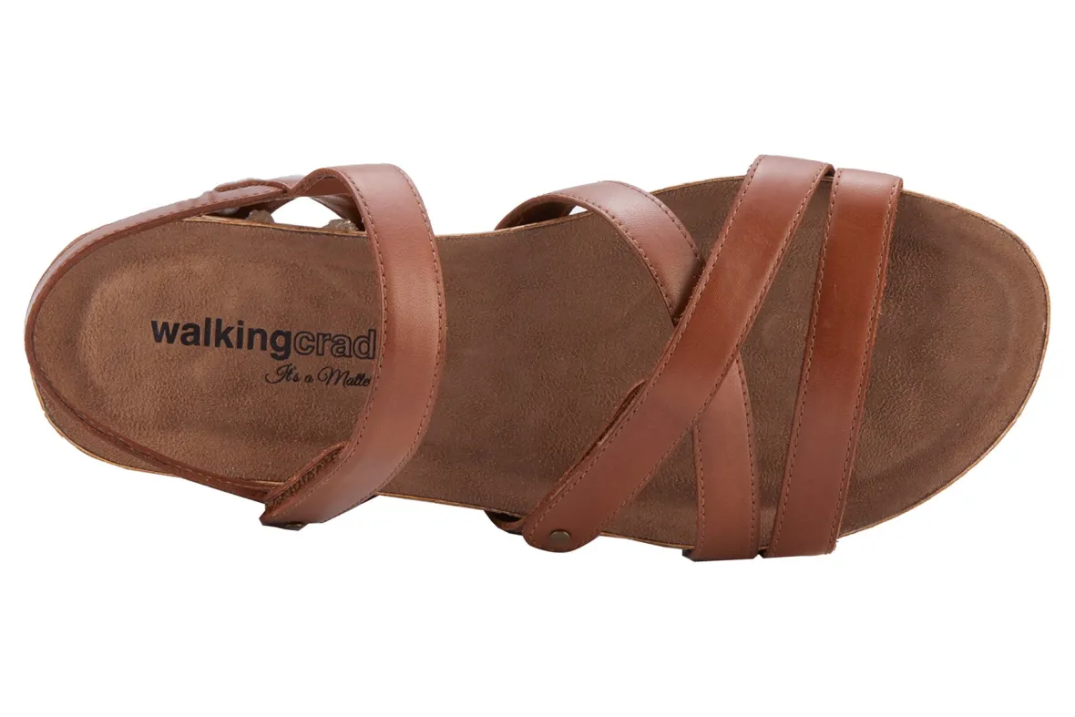 Pool-Walking Cradles Fashion