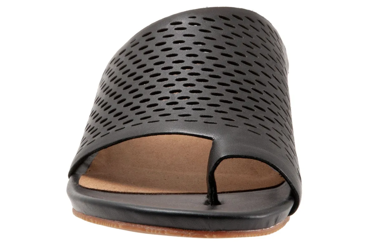 Corsica II-Softwalk New