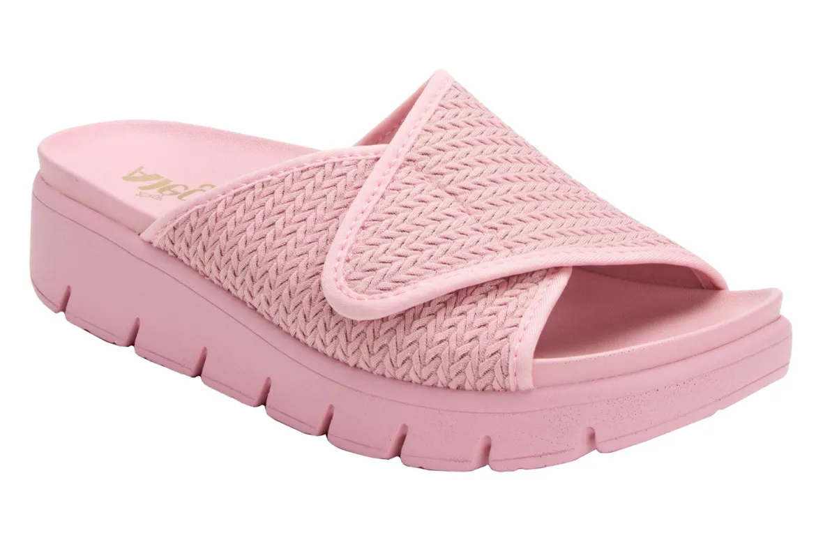 Airie-Alegria Clearance