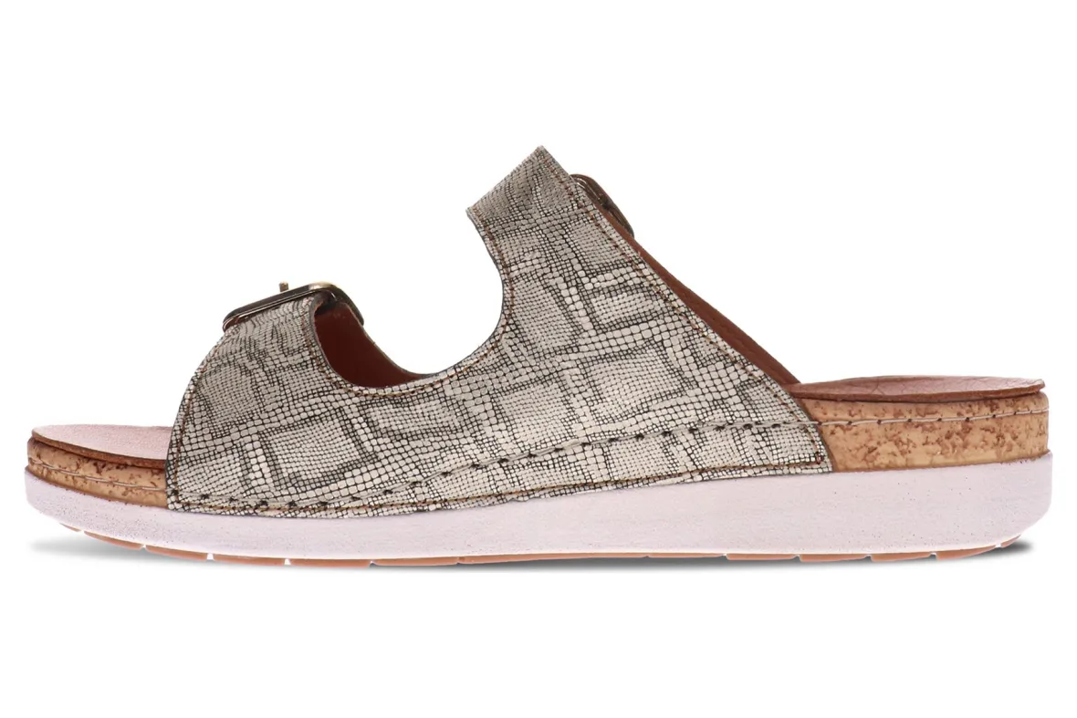 Brighton-Revere Fashion