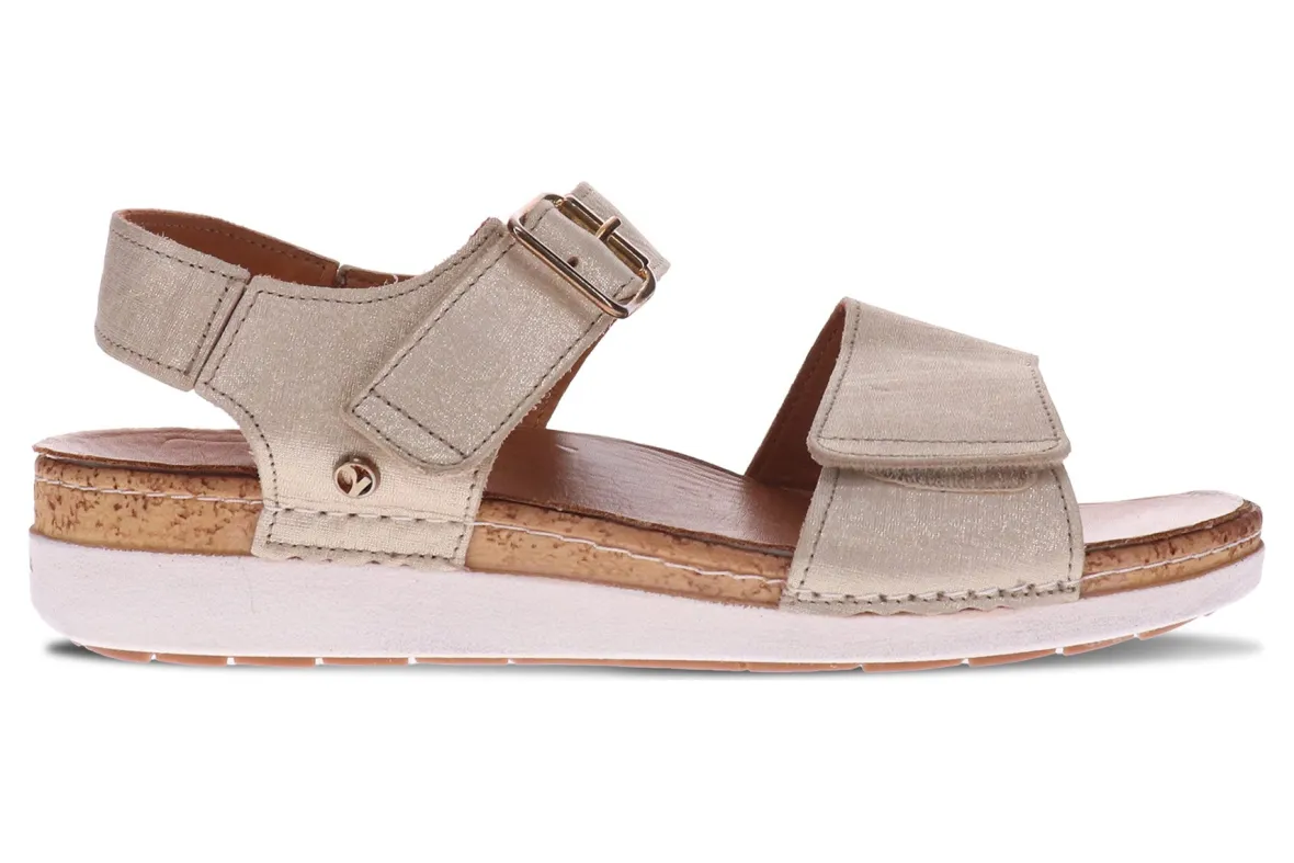 Georgia-Revere Online