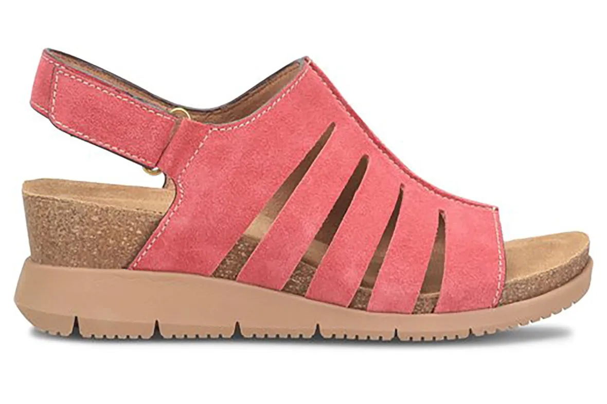 Scottie-Comfortiva Best