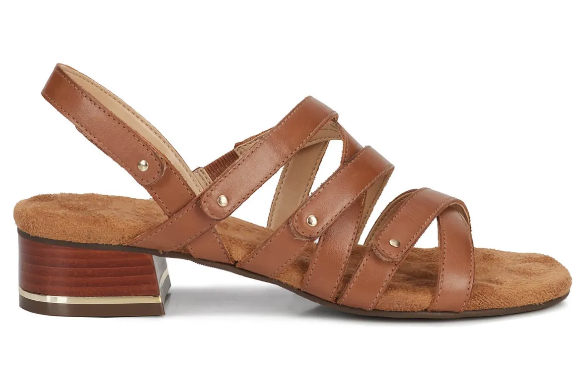 Breeze-Ros Hommerson Best