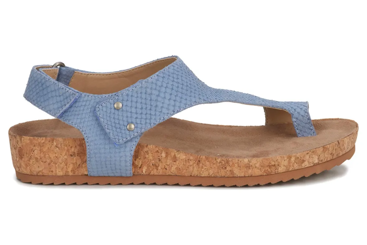 Preston-Ros Hommerson Clearance