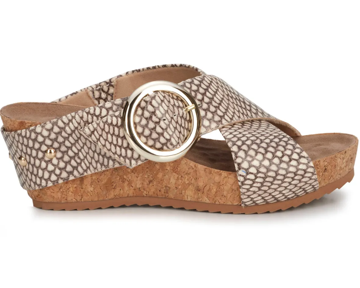 Tabitha II-Ros Hommerson Best