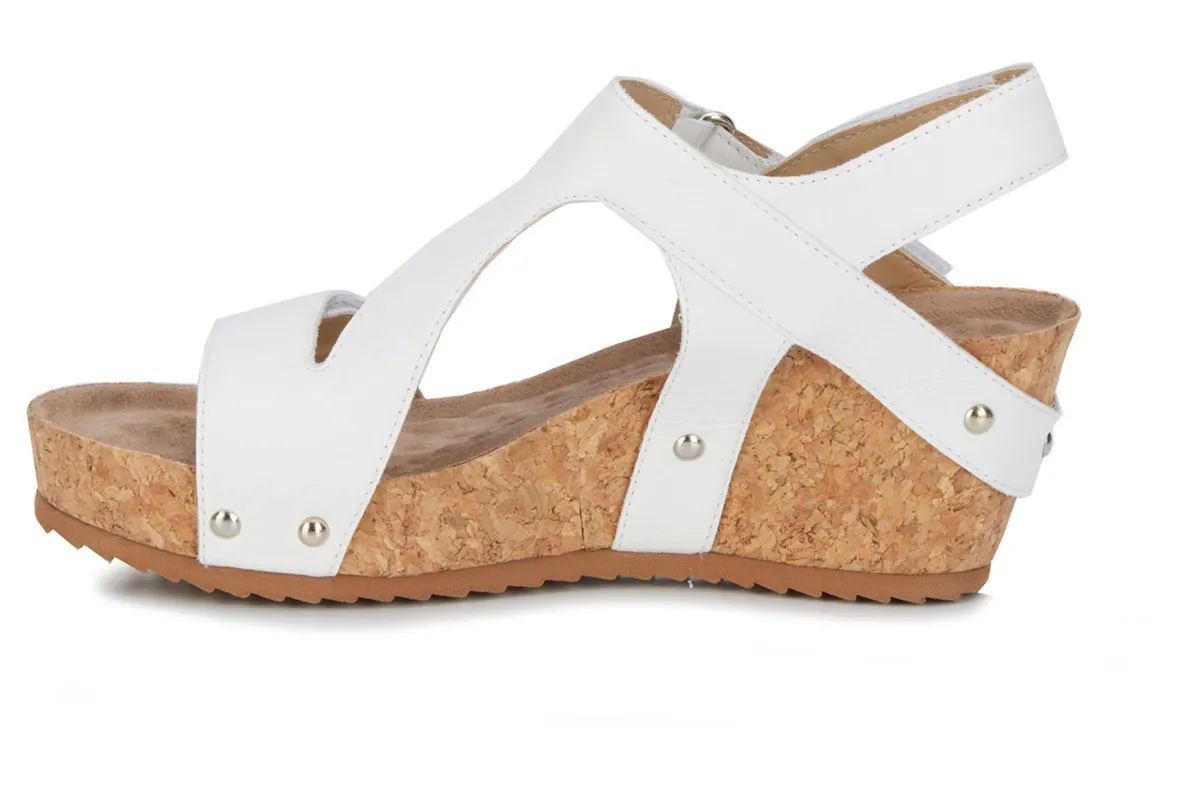 Traci-Ros Hommerson New