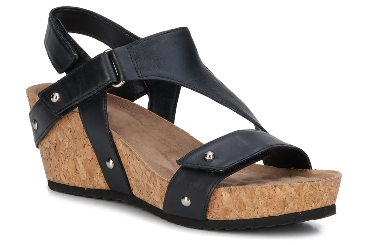 Traci-Ros Hommerson New