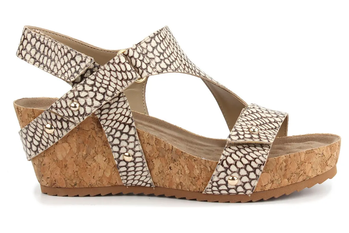 Traci-Ros Hommerson New