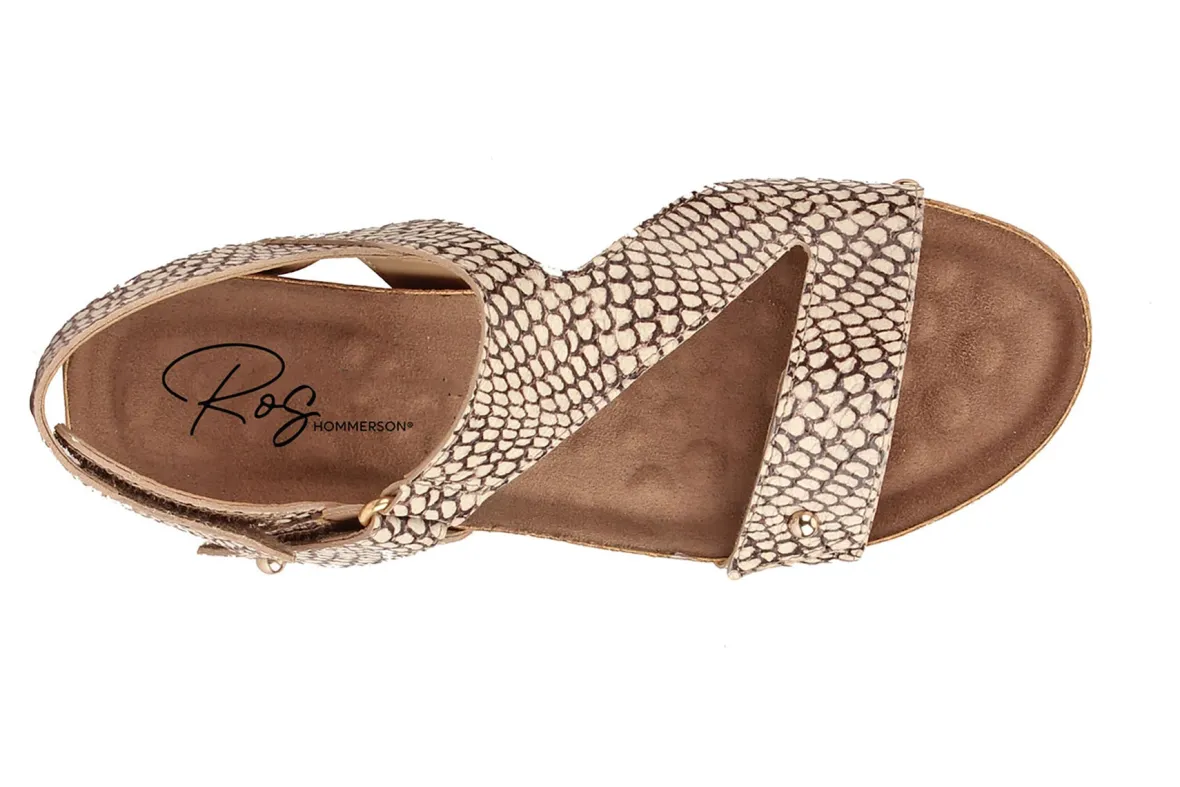 Traci-Ros Hommerson New