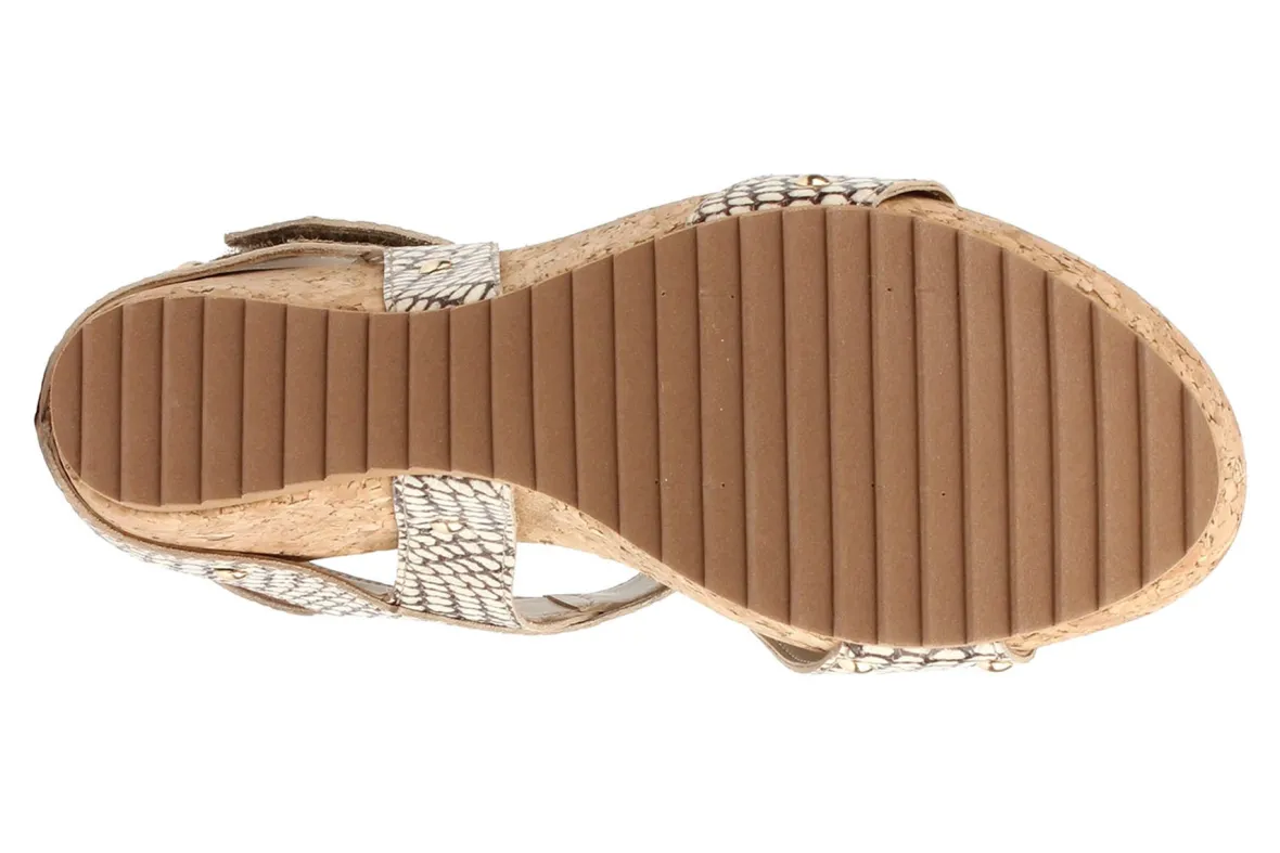 Traci-Ros Hommerson New