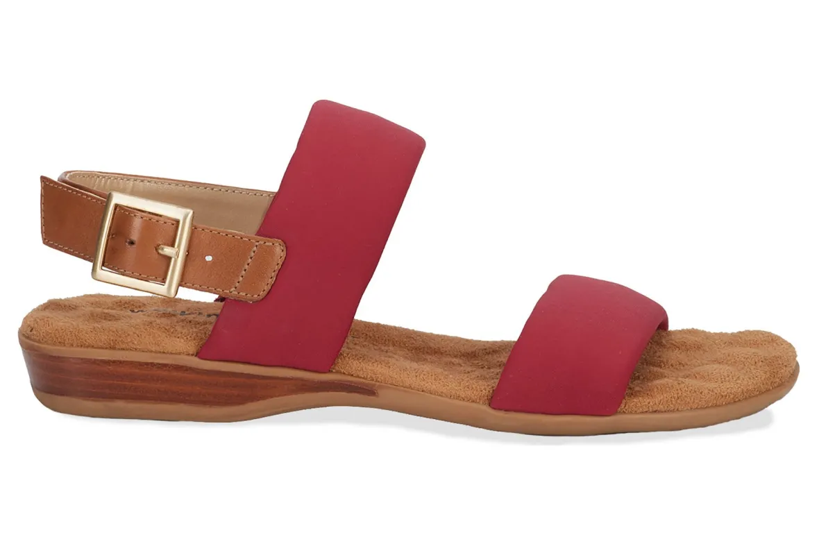 Cabana-Ros Hommerson Discount