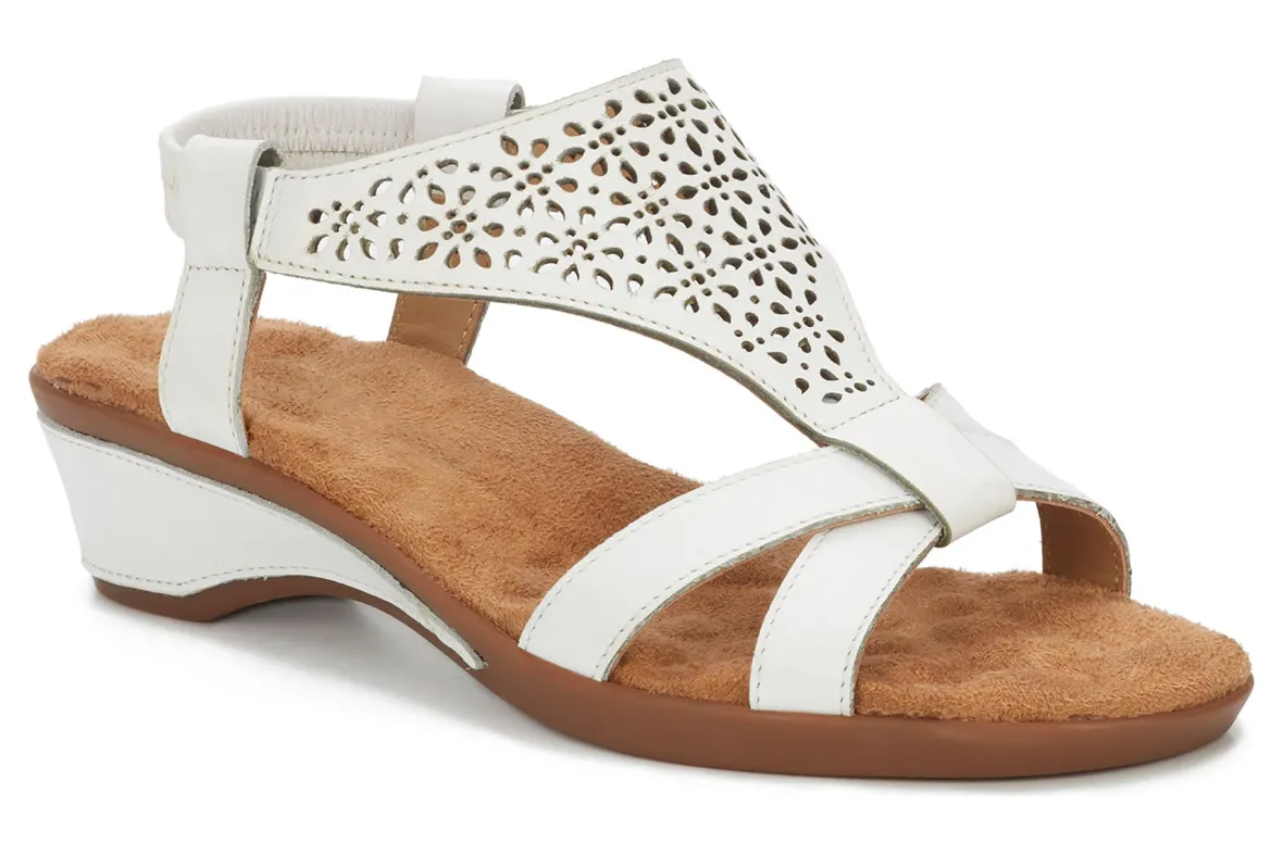 Kitsy-Ros Hommerson Online