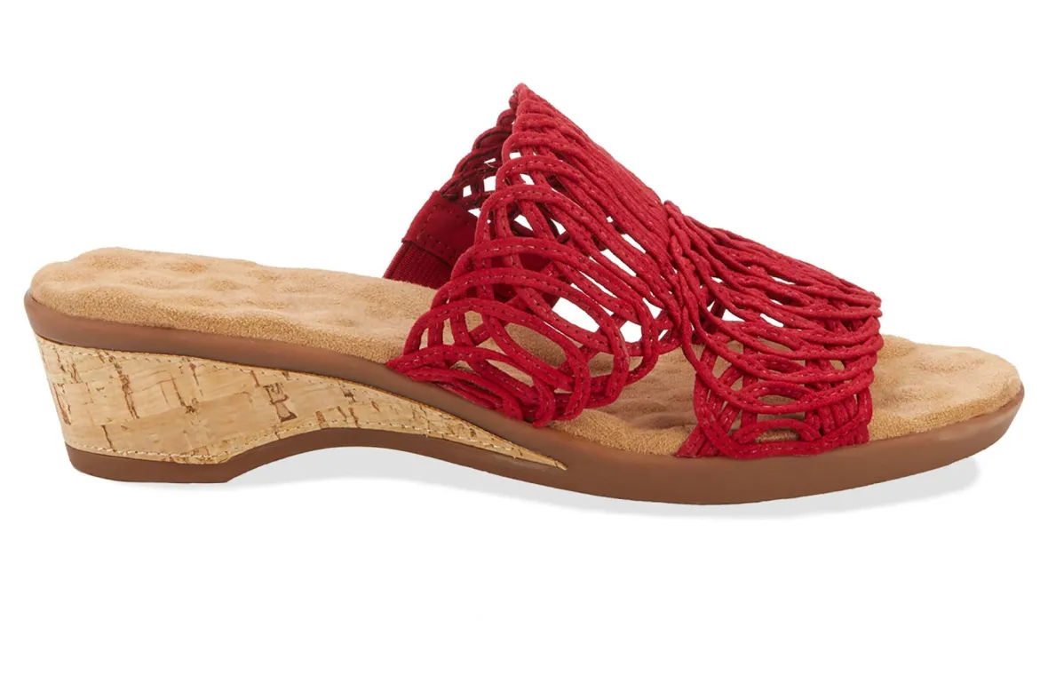 Kudos-Ros Hommerson Sale