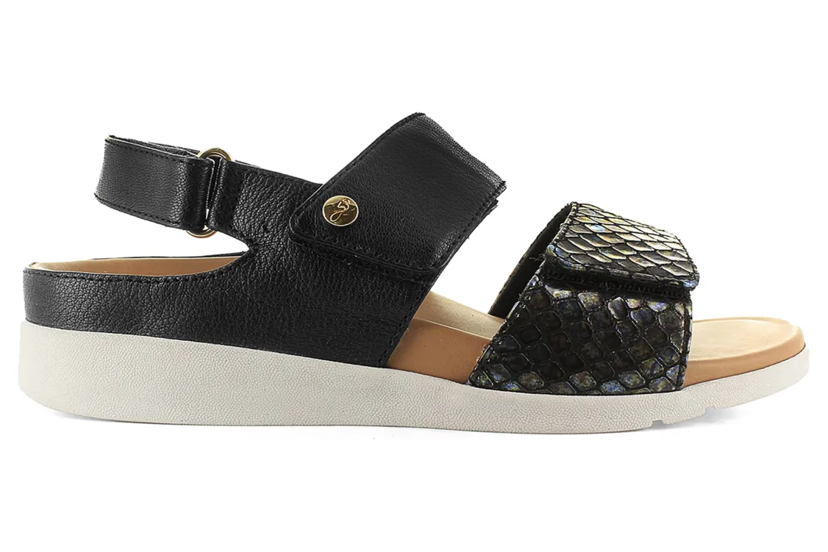 Riviera II-Strive Discount