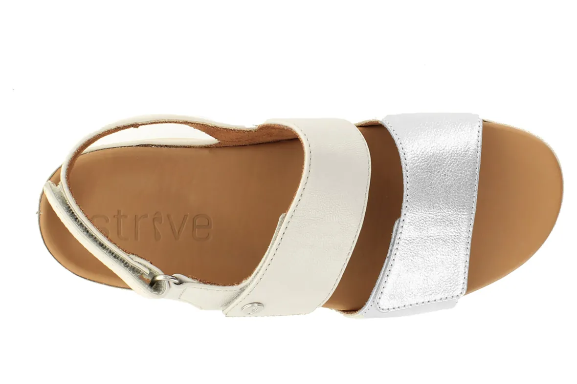 Riviera II-Strive Discount