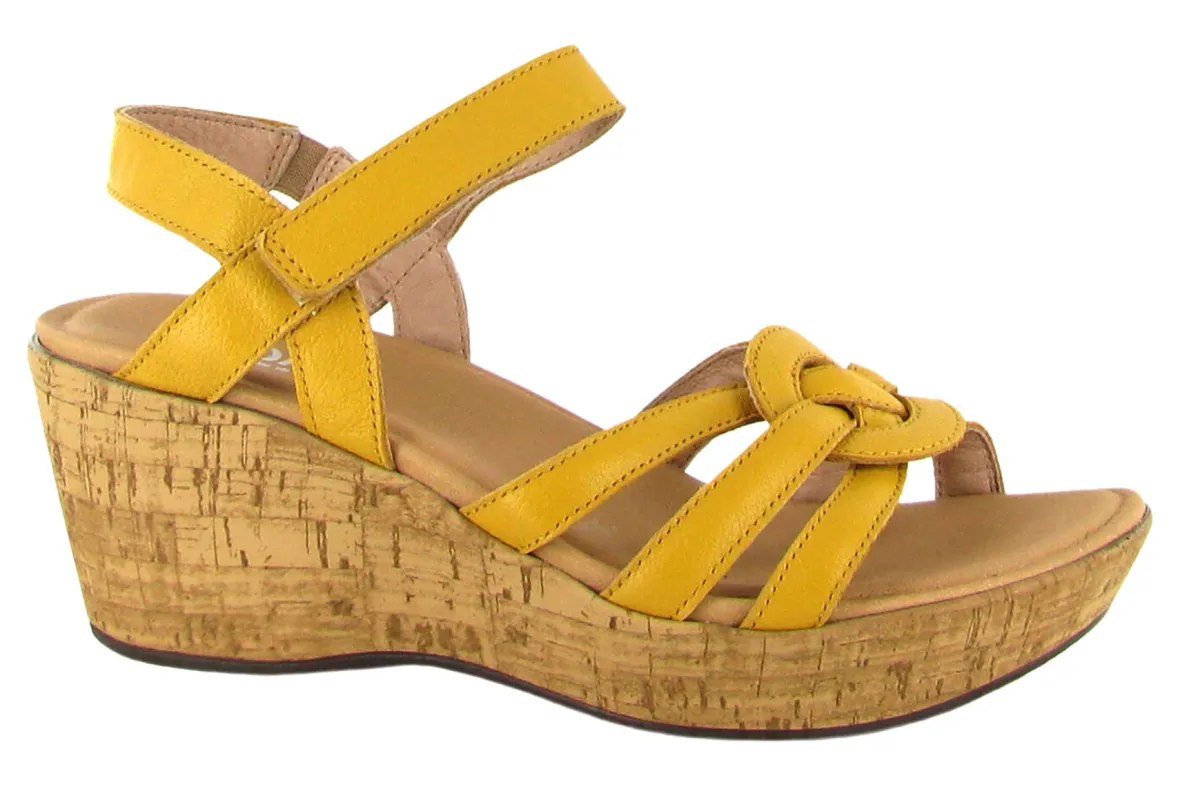 Tropical-Naot Discount