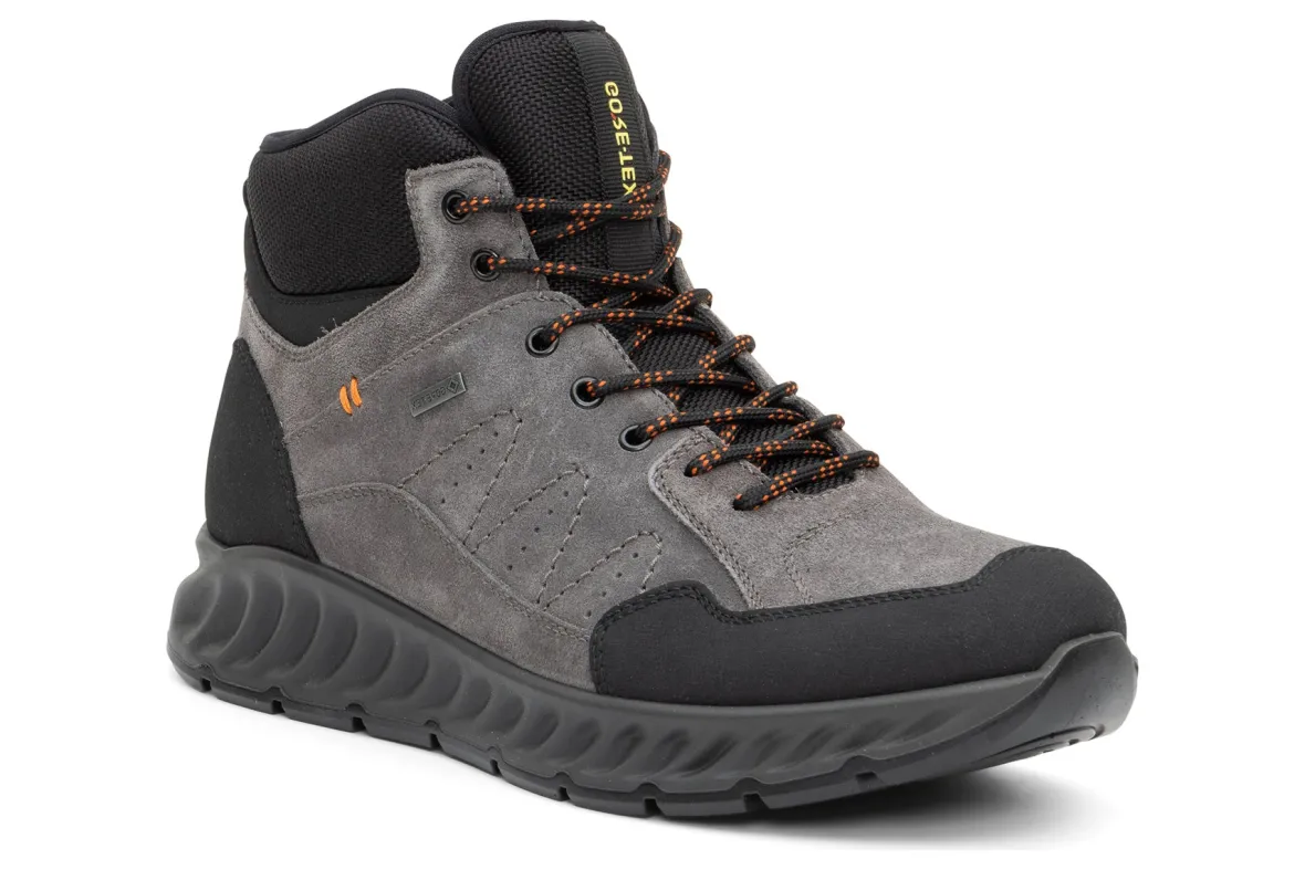 Pasquale-ara Discount